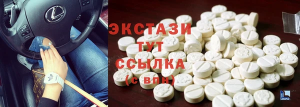 СК Алексин