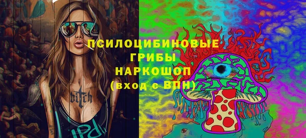 СК Алексин