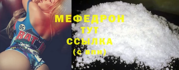 СК Алексин