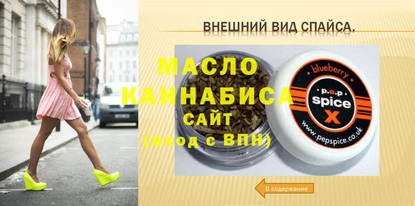 СК Алексин